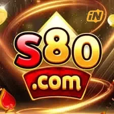 s80 Hub Unduhan